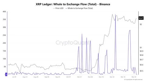 XRP Analysis: Whale Transfer Sparks Speculation, Could $35 Be in Sight by 2025? - Coinfomania