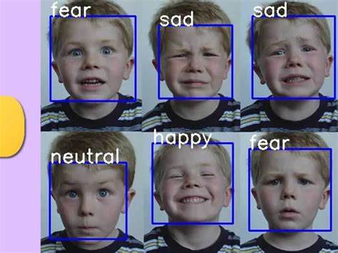Reading Smiles: Proxy Bias in Foundation Models for Facial Emotion Recognition