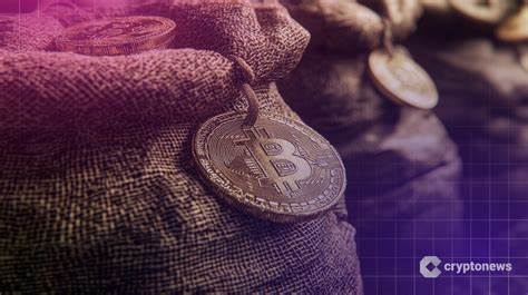 Semler Scientific Aims to Acquire 105K BTC by 2027, Stocks Jump 12%