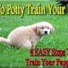 How to Potty-Train a Co-Worker