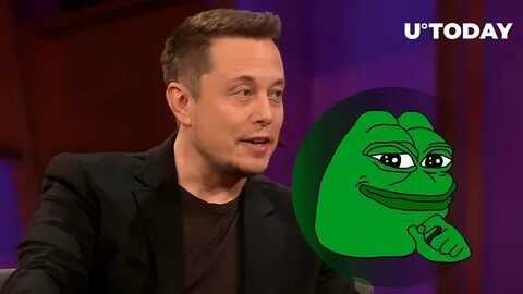 ELON MUSK AND PEPE "THE FROG"🐸🚀 - Binance