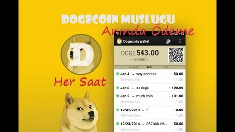 What is Dogecoin and how does it work? A beginner's guide to DOGE - The Block