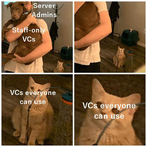 VCs Are People Too