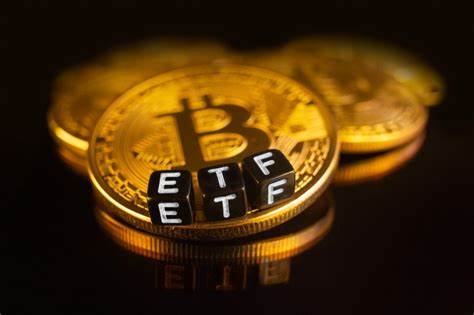BlackRock’s IBIT Bitcoin Holdings Soar to 700K, Analyst Says
