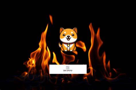 Over 2,000,000,000,000,000 Babydoge Burned By Team - The Crypto Basic