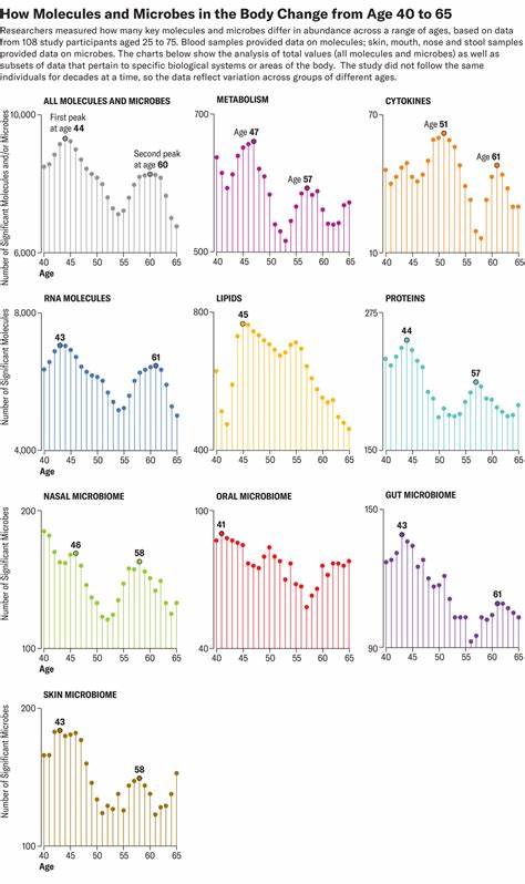 Biomolecular shifts occur in our 40s and 60s