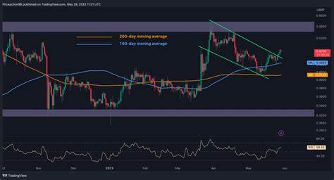 XRP Holds Steady Above $0.56 Amid SEC Deadline: What’s Next for Ripple? - Crypto News Flash