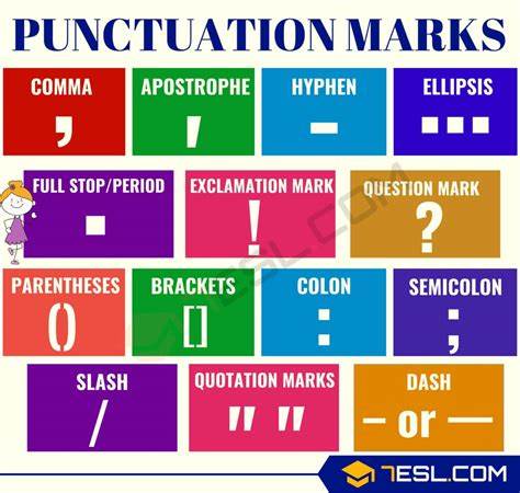 programming - What does the punctuation "//" mean? - English Language 