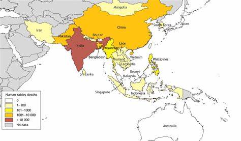 Rabies - India - World Health Organization (WHO)