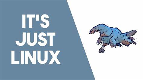 I used Bluefin for 5 months – long term review [video]