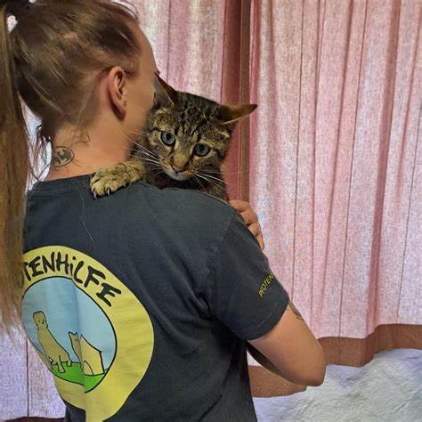 Tierschutzhof Pfotenhilfe Lochen | Tierschutzorganisation