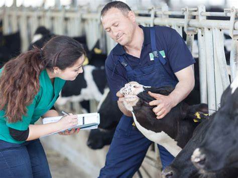 Weterynarz w lokalizacji Pułtusk 17 firm w okolicy