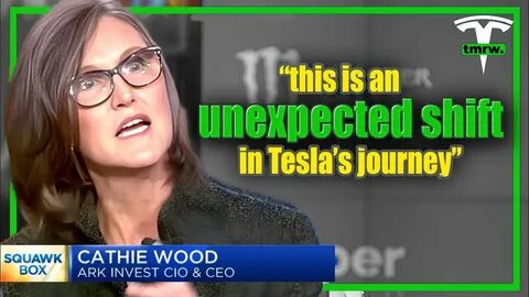 Cathie Wood loads up on Tesla, Palantir shares amid tech selloff - Proactive financial news