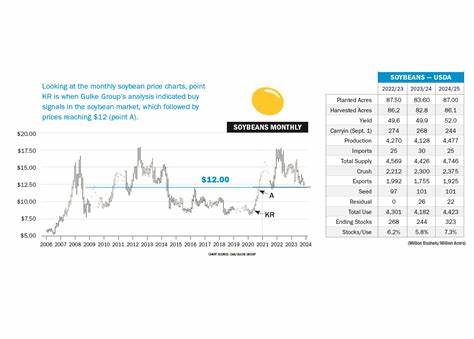 Price Outlook 2024 — A New Reality