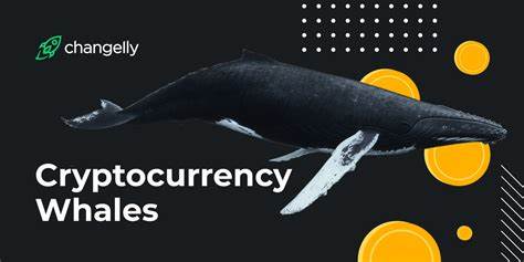 Top 3 Crypto Price Prediction – XRP, Bitcoin, and Dogecoin Slump. Are Whales Investing Elsewhere? - Analytics Insight