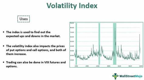 How Volatility Indexes Can Help Investors Gauge Bear Market Bottoms