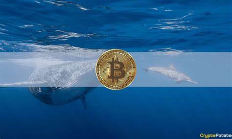 Bitcoin Whale Moves $6.01M After 13 Years – Analysts Predict Dogen Could Be the Next Whale Target