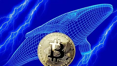 Bitcoin Whale Dumps $521 Million Short for Profit, Goes Long on Melania Trump Meme Coin - Decrypt