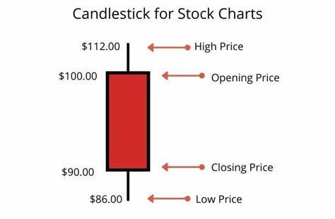 Stock Market Highlights: Nifty forms red candle on daily chart. What should traders do on Monday?