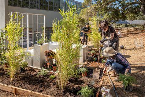 'Solitary Gardens' Aims to Change How We Think About Prisons