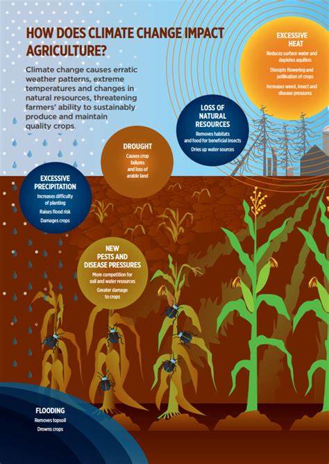 New discoveries of how crops makes clouds may drastically improve climate