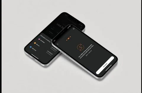Xapo Bank Collaborates with Circle to Offer USDC Payment Rails as SWIFT Alternative - The Fintech Times