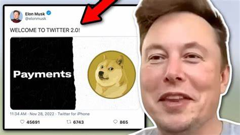 Why Dogecoin Price is Set to Explode According to This Analyst - The Crypto Basic