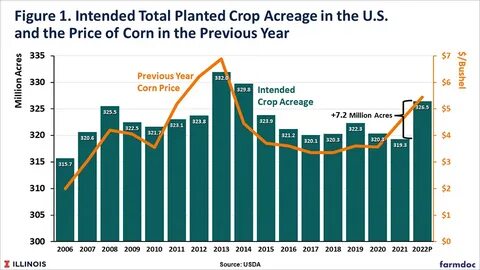 Corn, Soybean Markets See ‘Sell the Rumor, Buy the Fact’ on USDA Data