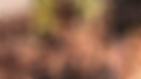 Video Porno Gratuiti & Film XXX: Canale Video Porno | xHamster