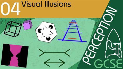 Visual illusions: Wide range of cross-cultural differences in visual perception