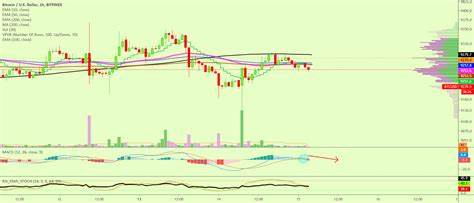 Bitfinex Warns of Bearish Signals as Bitcoin Continues to Consolidate - CryptoPotato