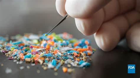 Microplastics shed by food packaging are contaminating our food, study finds