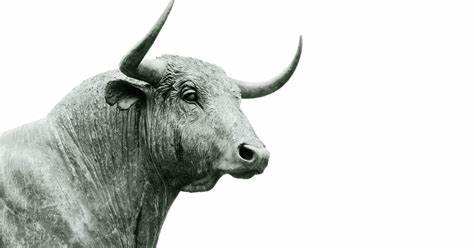 Crypto Speculation Index Slide Suggests Bitcoin Bull Market Reset - CoinDesk