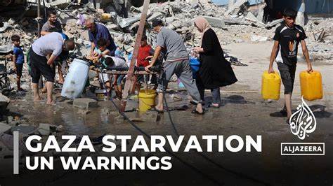 'We are dying slowly, save us': starvation takes hold in Gaza
