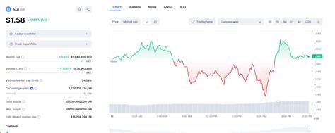 SUI stands out amid crypto pullbacks: Can bulls sustain the rally?