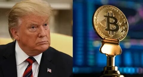 US Rep. Byron Donalds to introduce bill codifying Trump’s Bitcoin reserve - Cointelegraph