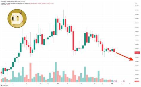 Dogecoin Price May See a Pump, but Its Era of Wild Gains Is Over; Which New Crypto Can Rise to 2021 DOGE Levels? - The Cryptonomist