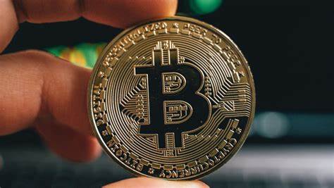 Guelph woman loses more than $300K to cryptocurrency scam - CTV News
