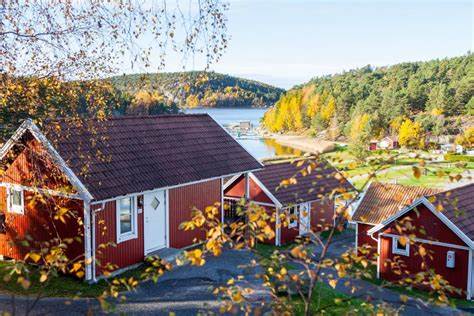 Swedish Campground: "There are too many Apples on the screen!