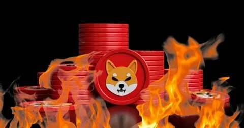 Shiba Inu burn rate surges over 62,000% on new announcement, removing 505 million SHIB - TheStreet
