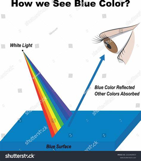 What Is Blue and How Do We See Color? (2015)
