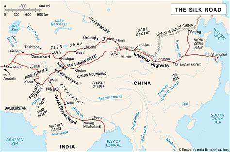 The Silk Road Report