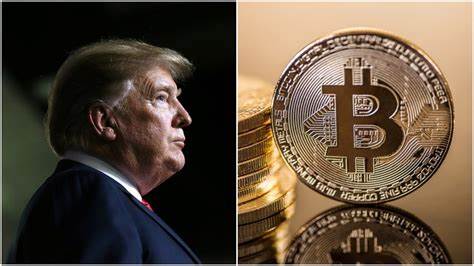 Buying And Holding Bitcoin Is The Best Strategy To Navigate The Trump Tariff War - Bitcoin Magazine