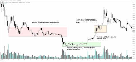 Crypto Analyst Says the ‘Only Chart To Watch’ Is Flashing a Bullish Signal for Altcoins – Here’s His Outlook - The Daily Hodl