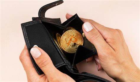 Trending Bitcoin Wallets in 2024: Unveiling the Leaders in Innovation, Security, & Functionality - Tekedia
