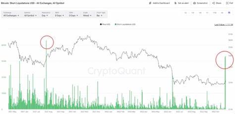 Cryptocurrency Adoption Expected to Increase This Year... Trading Volume and Market Cap Show Significant Growth" - 블루밍비트