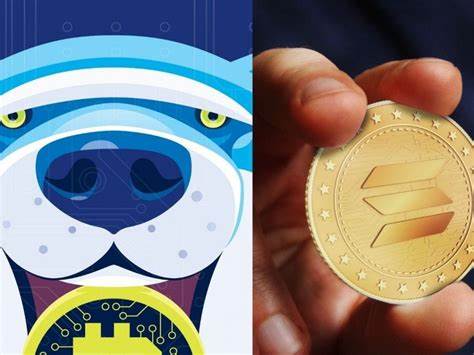 Shiba Inu Investors Eye Real-World Applications As New Altcoins Innovative Ecosystem Promises Tangible Rewards - CryptoDaily