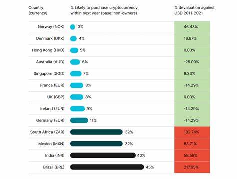 Crypto buyers in emerging economies caught between a rock and a hard place - Forkast News