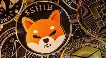 US Government Moves 54,897,092,549 Shiba Inu to New Wallet - The Crypto Basic