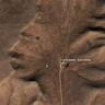 Our favorite moments from 20 years of Google Earth